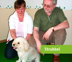 Strubbel