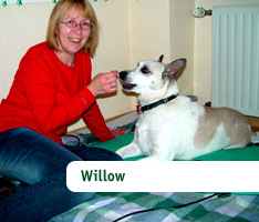 Willow