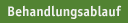 Behandlungsablauf